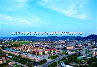 檢測案例