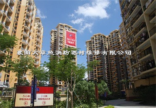 檢測案例